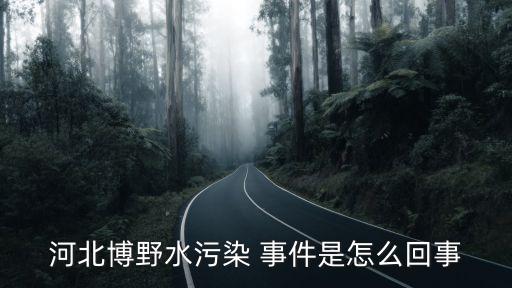 河北博野水污染 事件是怎么回事