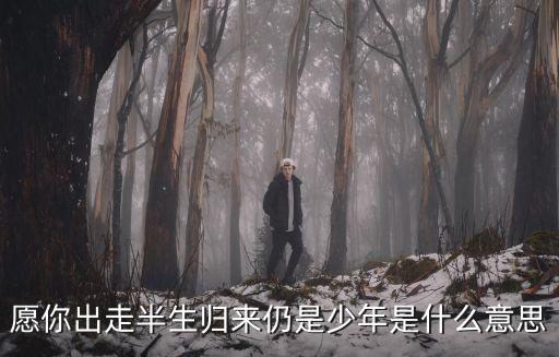 愿你歸來仍是少年，愿你出走半生歸來仍是少年是什么意思