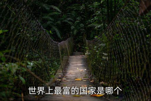 比利時國家富裕嗎，世界上最富的國家是哪個