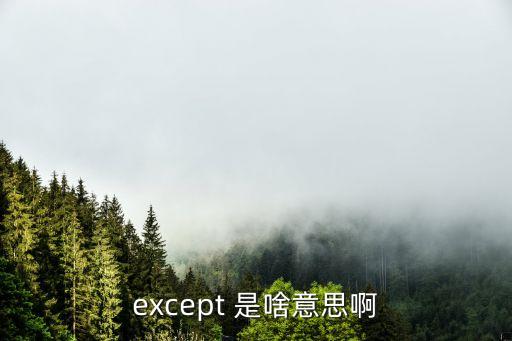 excepted，except的意思