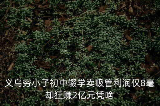 義烏窮小子初中輟學賣吸管利潤僅8毫卻狂賺2億元憑啥