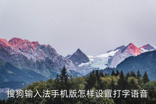 搜狗語音輸入法，搜狗輸入法手機版怎樣設置打字語音