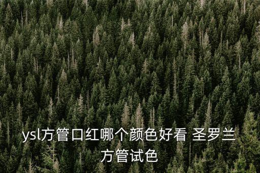 ysl方管，ysl方管口紅哪個顏色好看 圣羅蘭方管試色