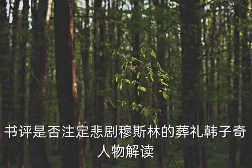 書評是否注定悲劇穆斯林的葬禮韓子奇人物解讀