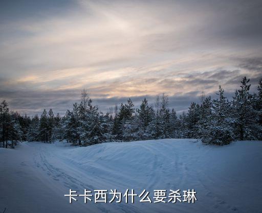 卡卡西為什么要殺琳