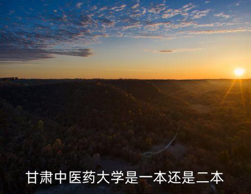 甘肅中醫(yī)藥大學(xué)是一本還是二本