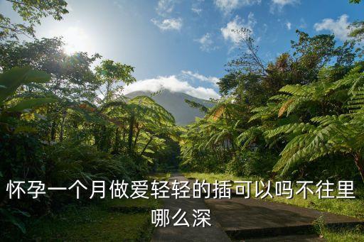 輕輕插，懷孕一個月做愛輕輕的插可以嗎不往里哪么深