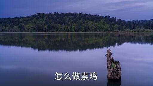 怎么做素雞