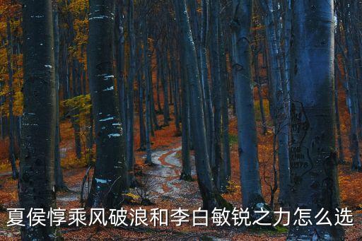 夏侯惇乘風破浪，夏侯惇乘風破浪和李白敏銳之力怎么選