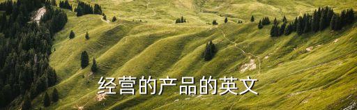 經營英語，經營好自己的生活 用英語怎么表達