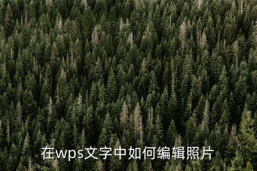 wps圖片編輯，wps怎么編輯圖片