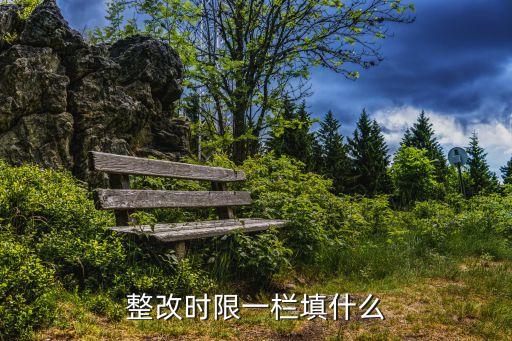 整改時限怎么填寫，整改時限一欄填什么