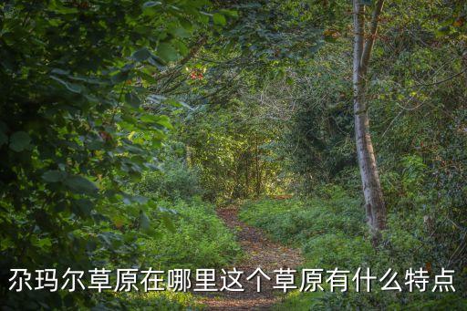 尕瑪爾草原，尕瑪爾草原在哪里這個草原有什么特點