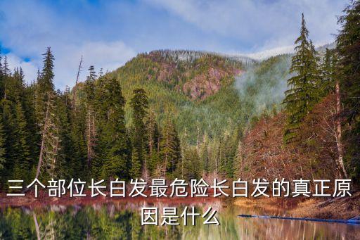 后腦勺長白頭發(fā)，三個部位長白發(fā)最危險長白發(fā)的真正原因是什么