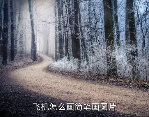 兒童簡(jiǎn)筆畫飛機(jī)，兒童畫飛機(jī)的簡(jiǎn)單畫法
