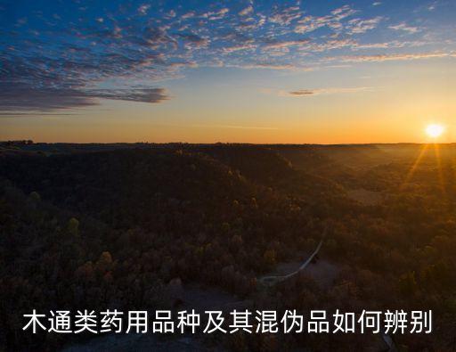 木通的功效，白木通是治什么病的啊