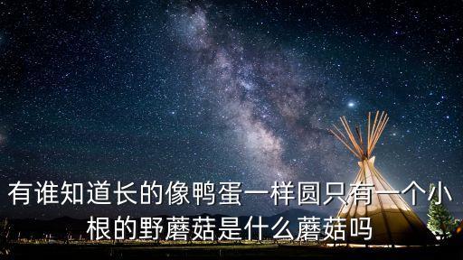 有誰知道長的像鴨蛋一樣圓只有一個小根的野蘑菇是什么蘑菇嗎