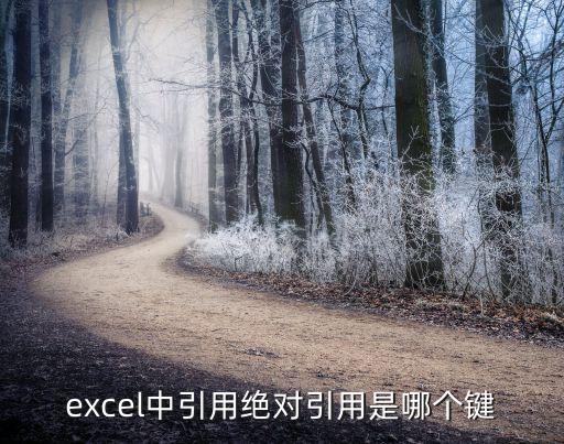 絕對引用快捷鍵，excel中引用絕對引用是哪個(gè)鍵