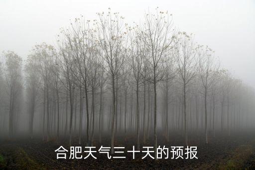 合肥天氣30天，合肥的天氣如何