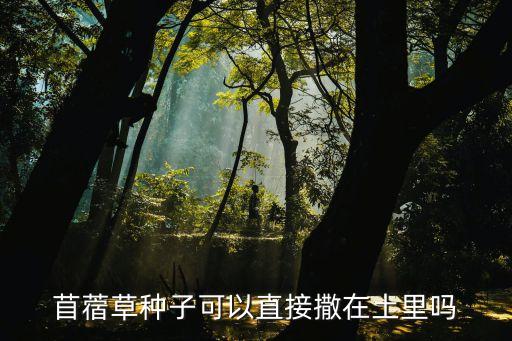 苜蓿草種子，苜蓿草種子可以直接撒在土里嗎