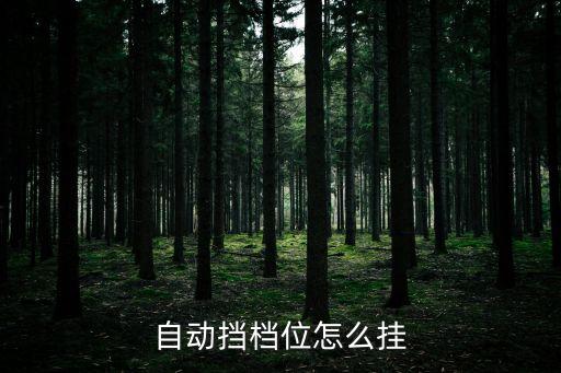 自動擋檔位怎么掛