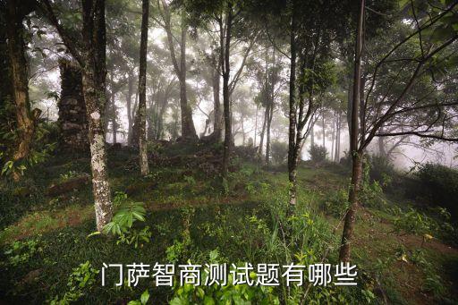 門薩智商測(cè)試答案，6道門薩智力測(cè)試題及其答案介紹分享