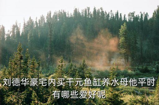 劉德華豪宅內(nèi)買(mǎi)千元魚(yú)缸養(yǎng)水母他平時(shí)有哪些愛(ài)好呢
