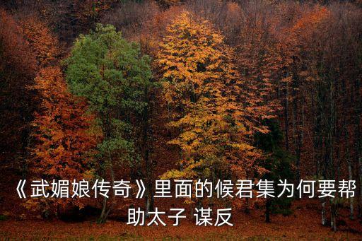 侯君集為什么謀反,武媚娘:李世民殺了侯君集不是故意的