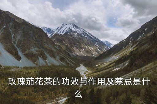  玫瑰茄花茶的功效與作用及禁忌是什么