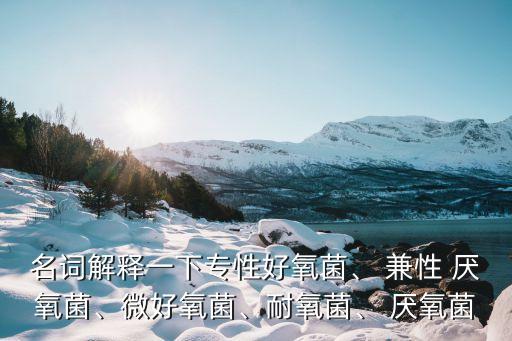 名詞解釋一下專性好氧菌、 兼性 厭氧菌、微好氧菌、耐氧菌、 厭氧菌