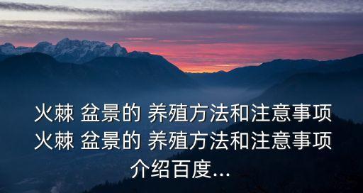 火棘盆景養殖方法,春夏秋冬四季可換盆換土火棘最怕干旱