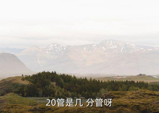 20管是幾 分管呀