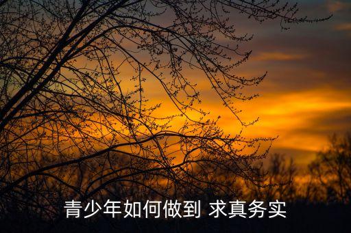 求真務(wù)實(shí),求真務(wù)實(shí)與唯書主義辯題