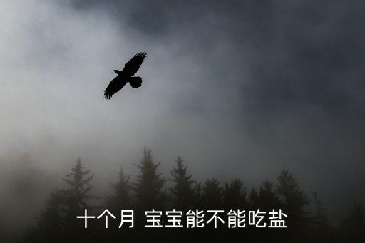 十個月 寶寶能不能吃鹽