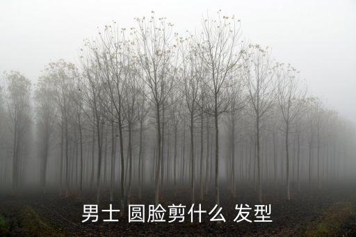 男士 圓臉剪什么 發型