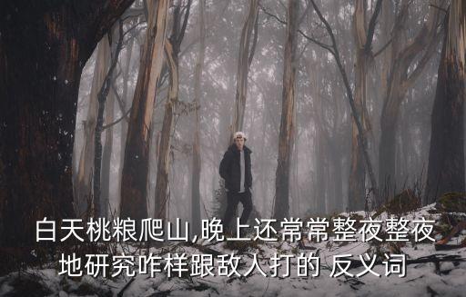 白天的反義詞,白天與黑夜之間的劃分