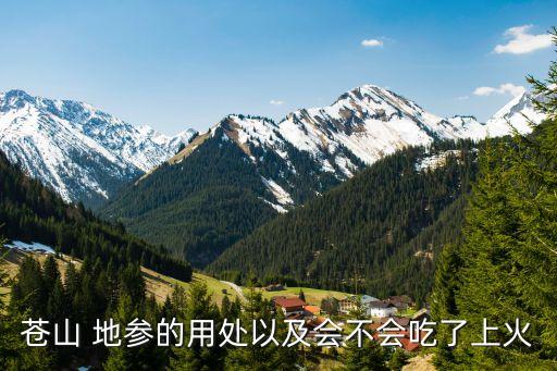 地參的功效與作用,人參作為蔬菜適合大眾口味營養(yǎng)豐富