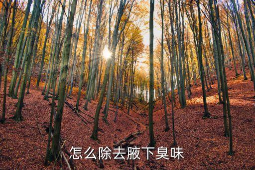 怎么除去腋下臭味
