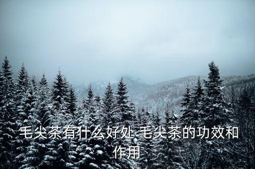 毛尖茶的功效,喝毛尖茶可消除尼古丁?