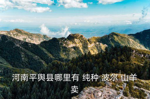 純種波爾山羊,河南省平輿縣波爾山羊農場出現純種山羊