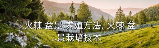  火棘 盆景 養殖方法, 火棘 盆景栽培技術