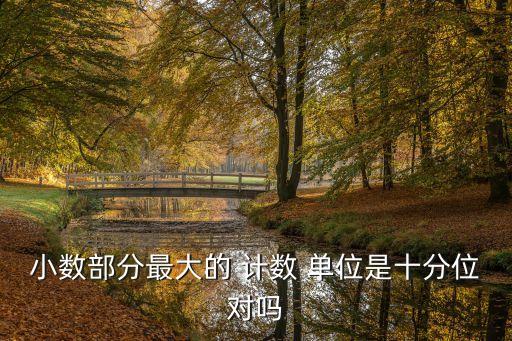 最大的計數單位,大數部分的計算單位是什么?