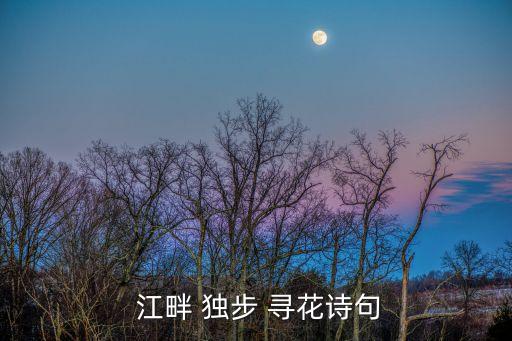 獨步江畔尋花,第五首詩:江畔獨步尋花
