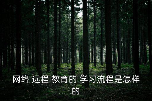 網絡 遠程 教育的 學習流程是怎樣的