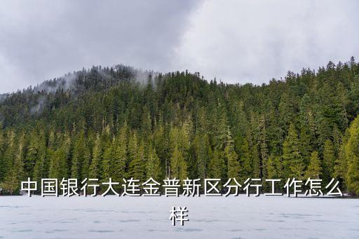  中國(guó)銀行大連金普新區(qū)分行工作怎么樣