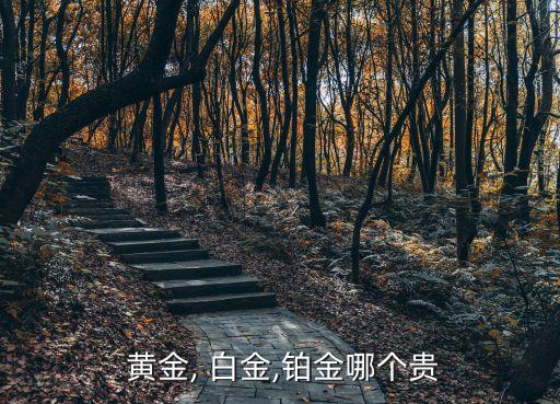 白金和黃金哪個貴,比黃金更珍貴白金是天然貴金屬