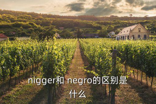 nigger和 negro的區別是什么