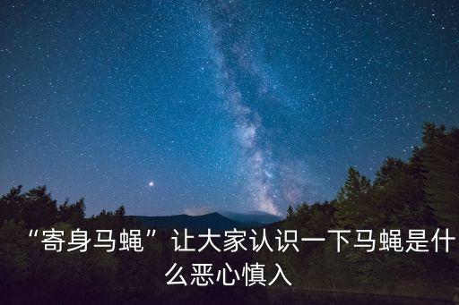“寄身馬蠅”讓大家認識一下馬蠅是什么惡心慎入