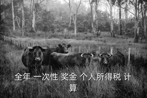 全年 一次性 獎金 個人所得稅 計算