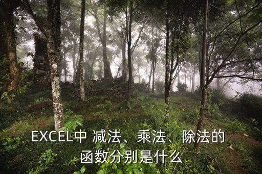 EXCEL中 減法、乘法、除法的 函數分別是什么
